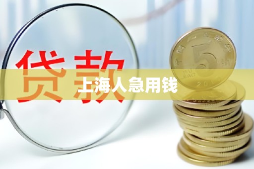 上海人急用钱