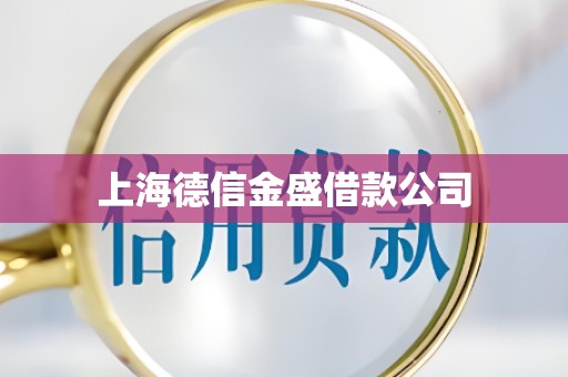 上海德信金盛借款公司