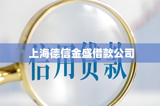  上海德信金盛借款公司