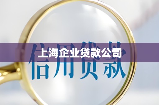 上海企业贷款公司
