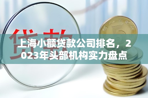 上海小额贷款公司排名，2023年头部机构实力盘点