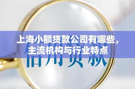 上海小额贷款公司有哪些，主流机构与行业特点